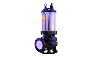 WQ-H型污水污物潜水电泵（外加不锈钢套）