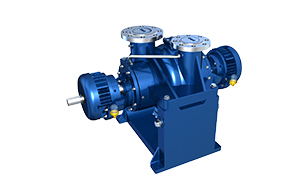 DFAY-H2型流程油泵
